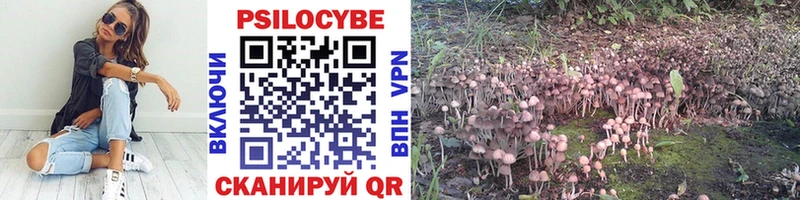 дарнет шоп Бодайбо Галлюциногенные грибы Psilocybine cubensis