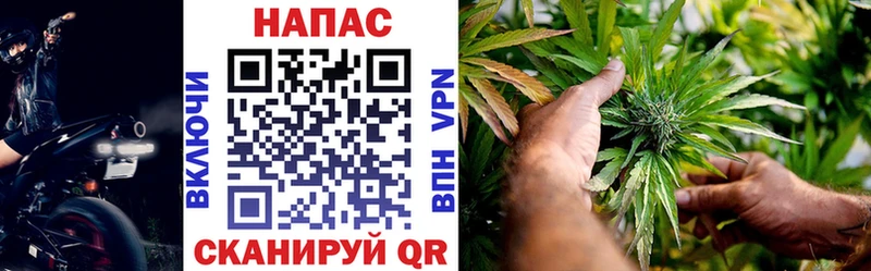 Марихуана OG Kush Бодайбо